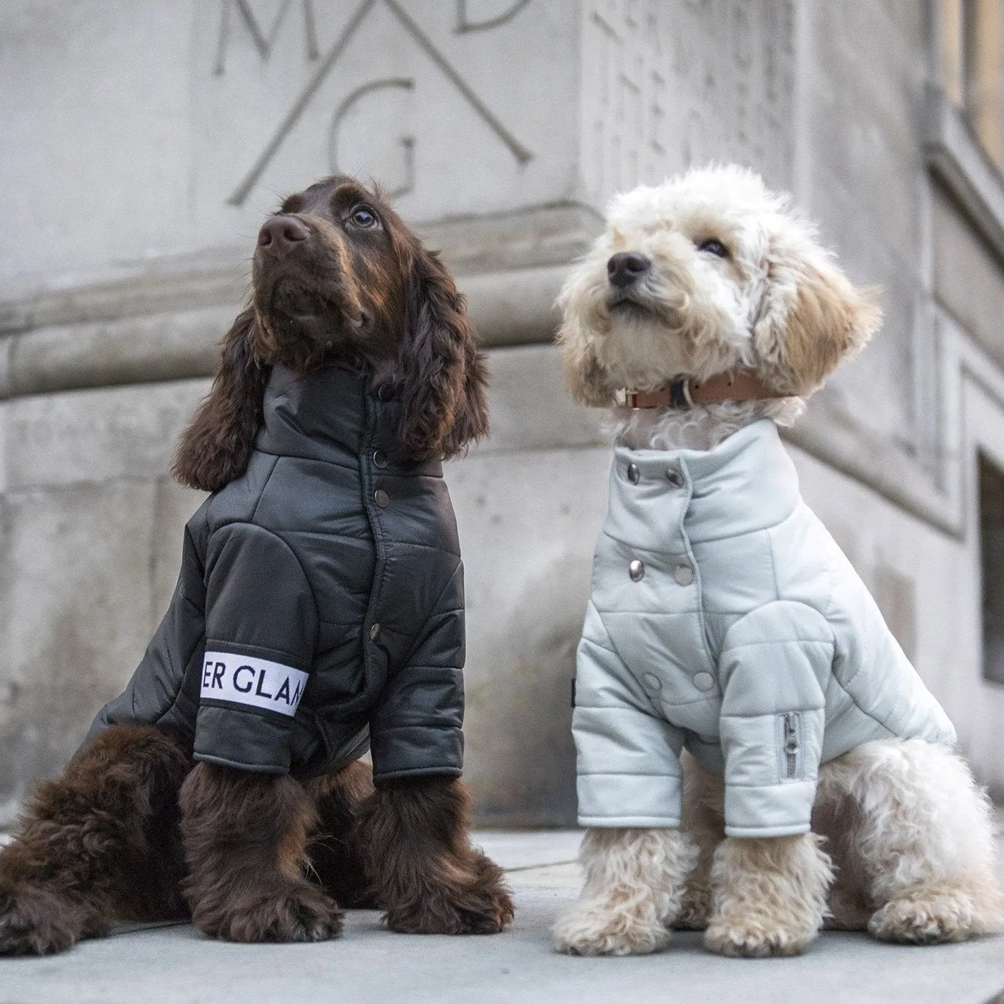 Button Up Puffer Jacket