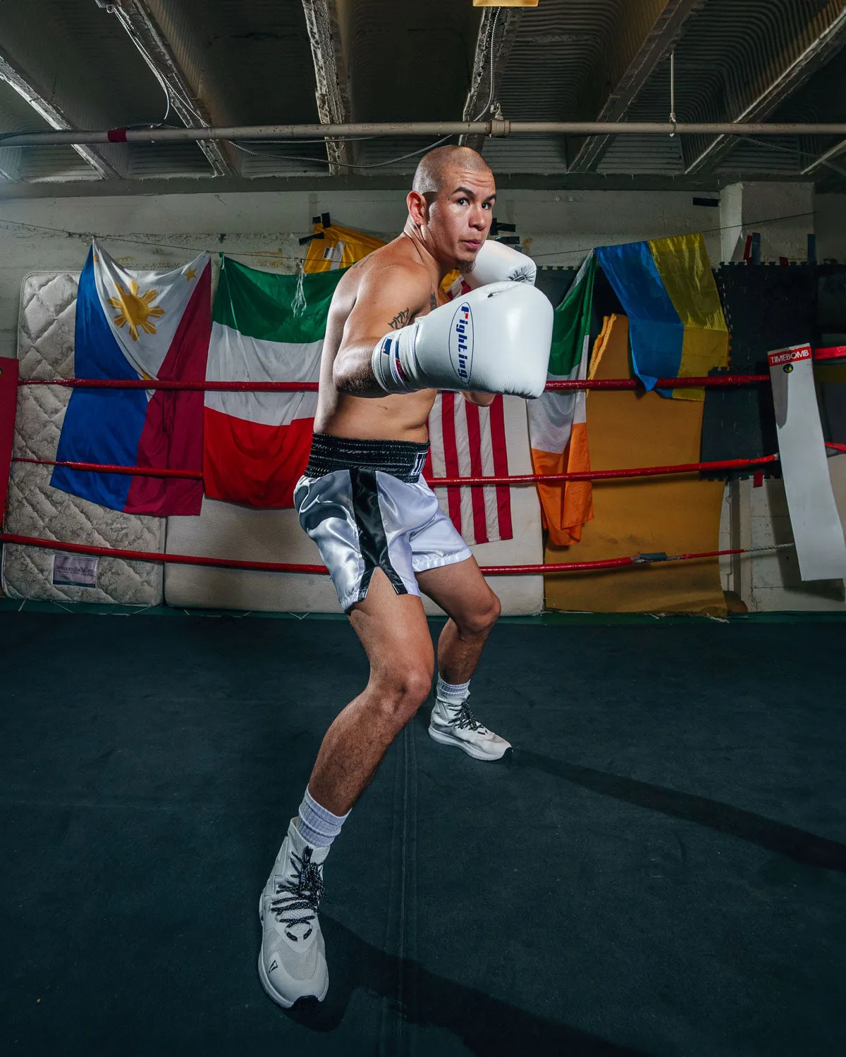 Fighting Fearless Certified Pro Fight Gloves II