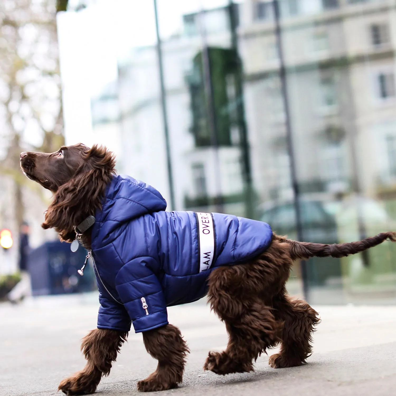 Zip Up Puffer Jacket (Navy)